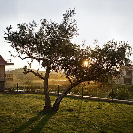 Villa Casas De Vale De Lobo Mirandela Exterior foto